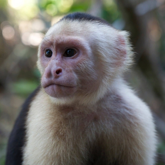 Meet your Posher, Clay - Picture 1 of 1